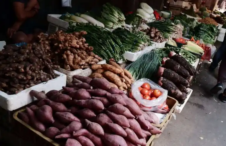 Examples Of Local Tuber Crops