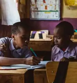 Boys Studying Together in a Classroom