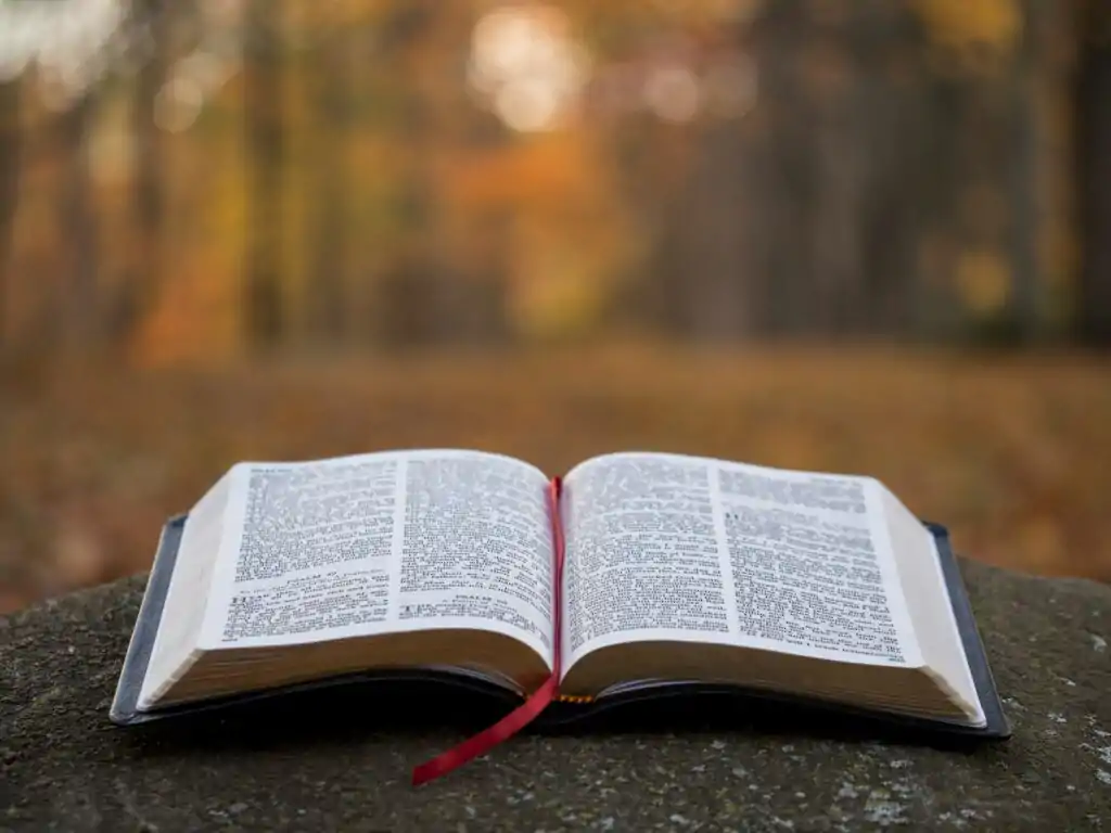 Primary 1 Christian Religion Studies- bible page on gray concrete surface