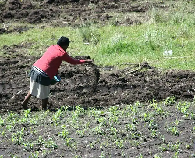 Manure_spreading_Hlokozi_2007_11_29