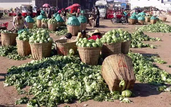 How To Grow Crops; Storage And Marketing (Primary 5)