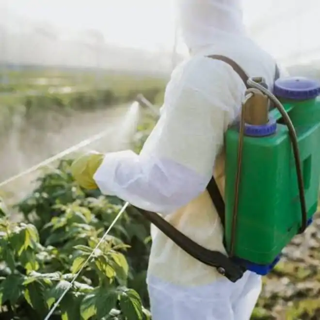 How To Grow Crops; Application Of Pesticides (Primary 5)