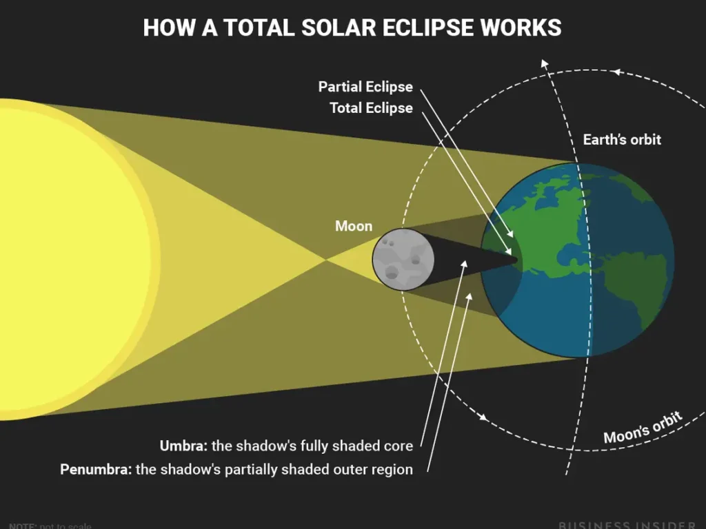 Solar Eclipse for primary 6