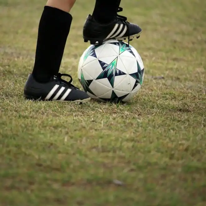 Meaning And Types Of Ball Games (Primary 6)